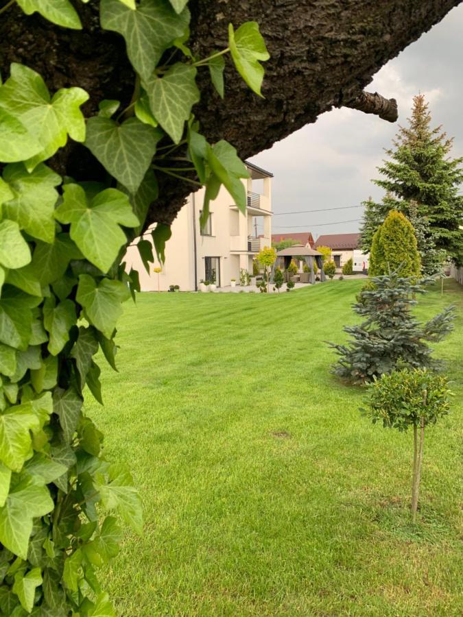 Zielony Ogrod Spytkowice  Exterior foto